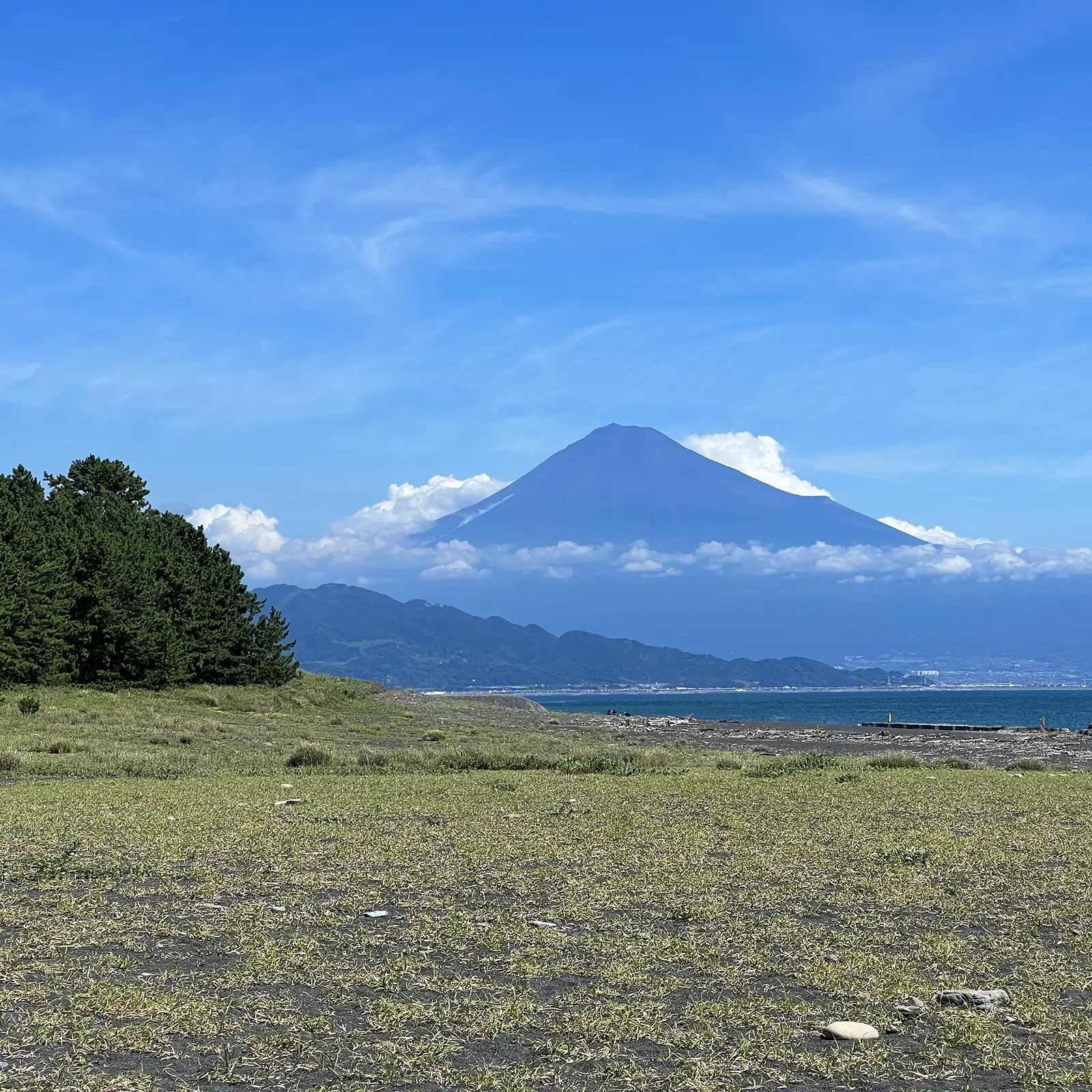 まるで浮世絵「三保松原」へ。松原と富士山と海の景色が和む