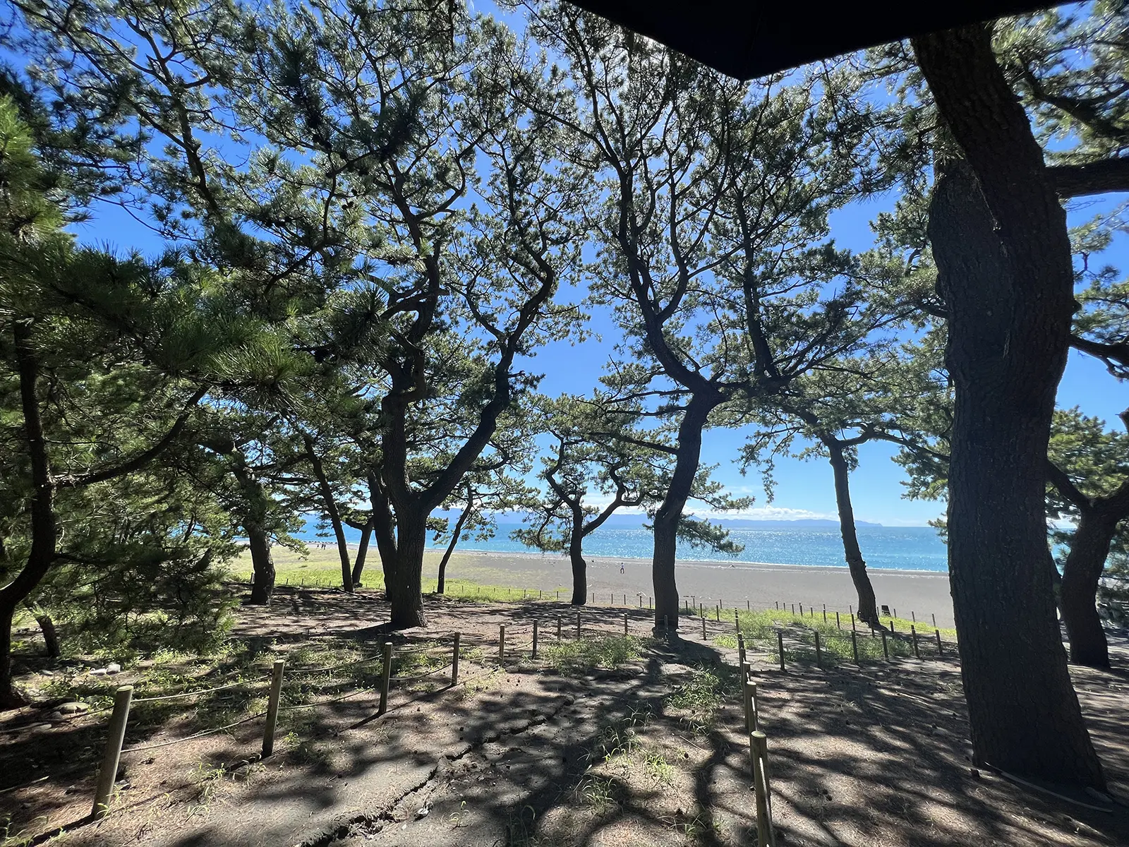 三保松原（三保の松原）から富士山を眺める