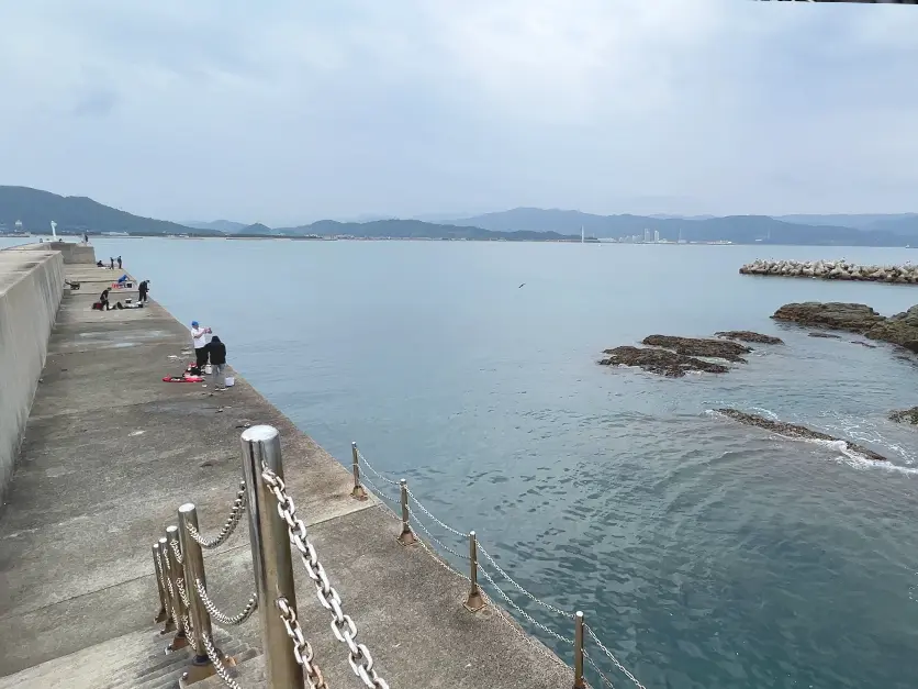 田ノ浦漁港のポイントと釣れる魚